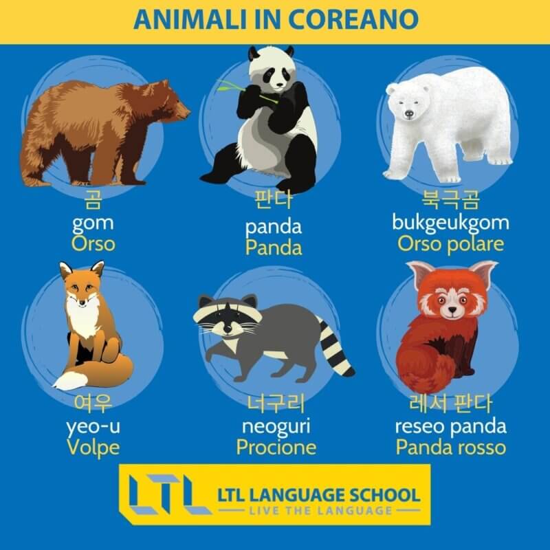 ANIMALI IN COREANO (4)