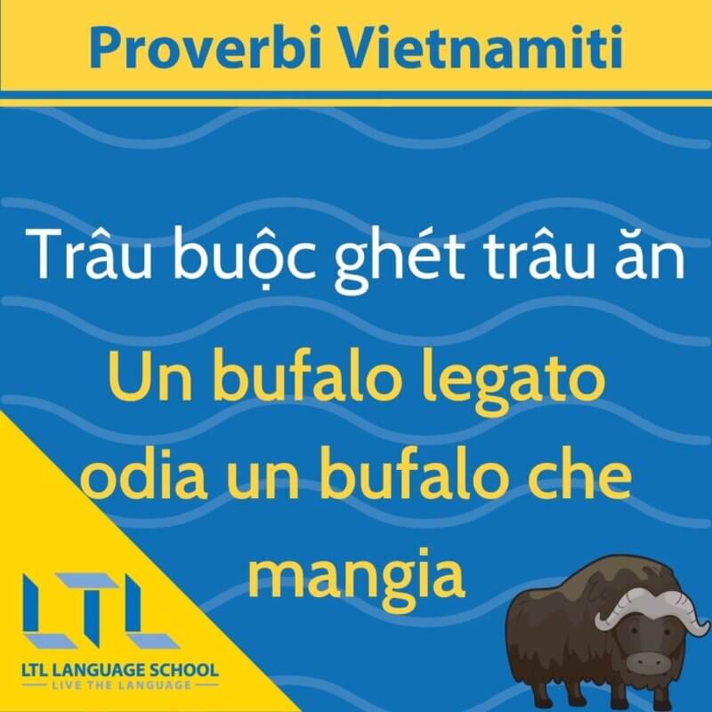 Proverbi Vietnamiti 3