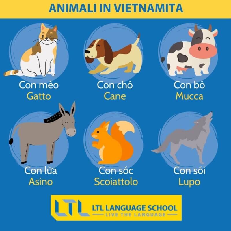 animali in vietnamita