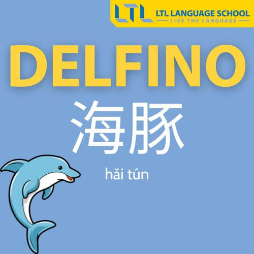 delfino in cinese